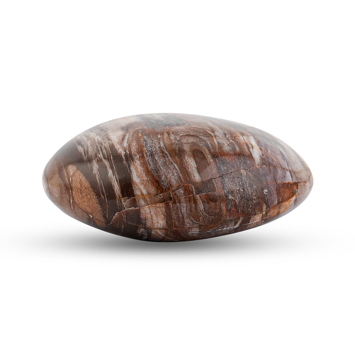 Petrified Wood Gallet -M