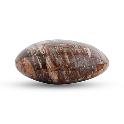 Petrified Wood Gallet -M
