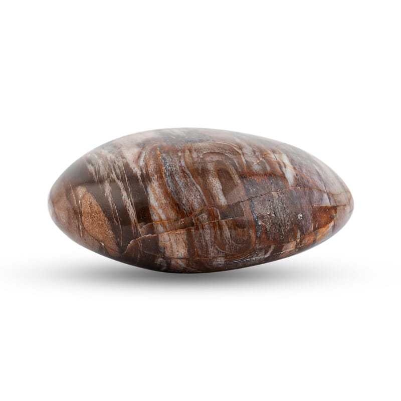 Petrified Wood Gallet -M