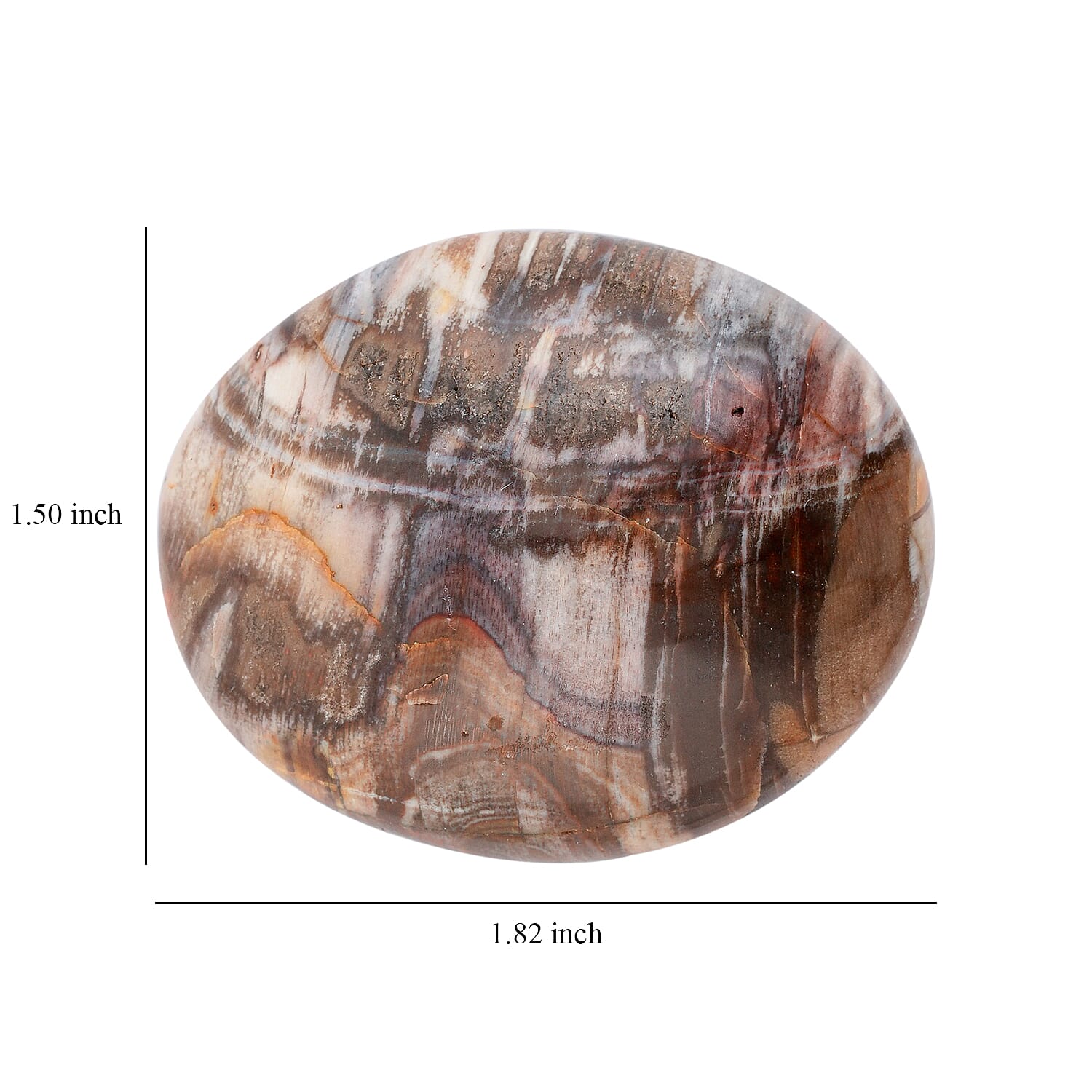 Petrified Wood Gallet -M