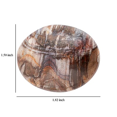 Petrified Wood Gallet -M