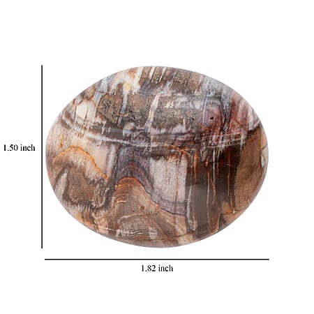 Medium - Product card gallery slide 4 (10312806891833)