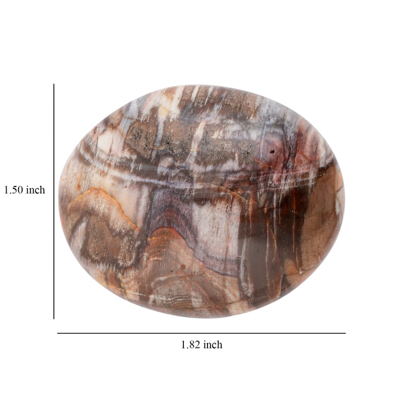 Petrified Wood Gallet -M