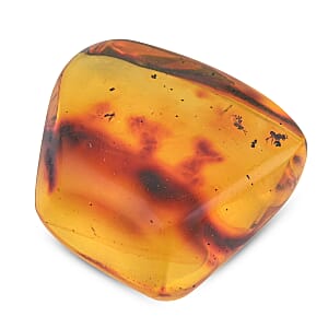 Amber Insect L 160 ctw