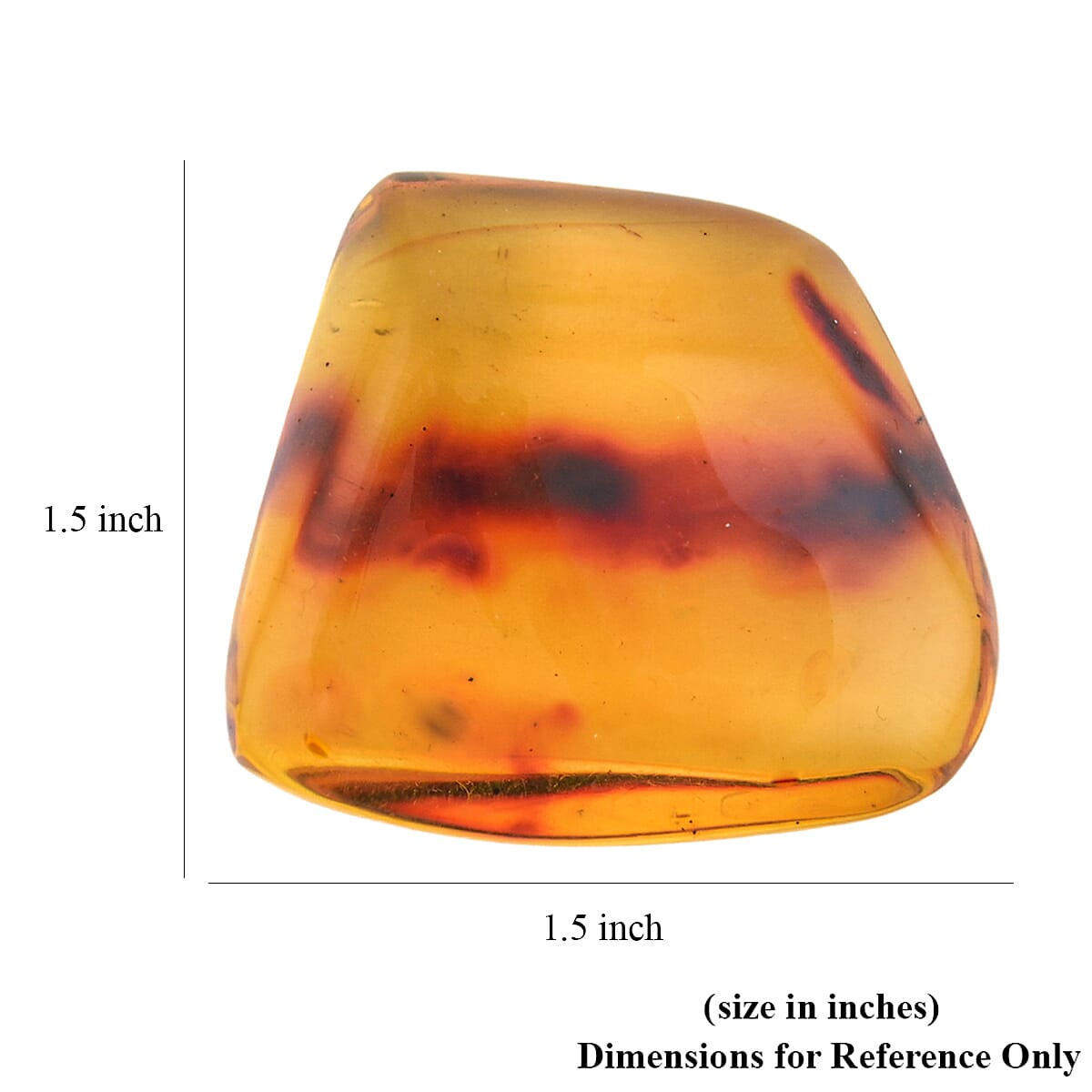 Amber Insect L image number 3