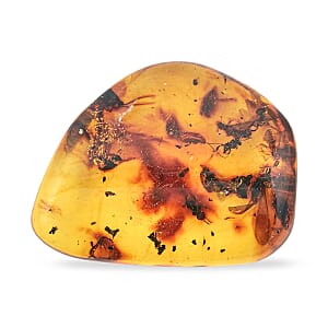 Amber Insect M 60 ctw