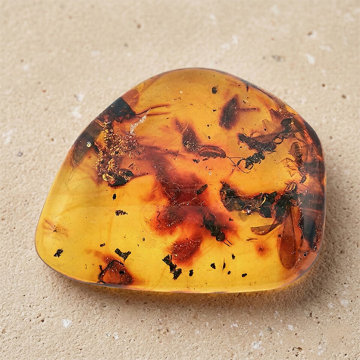 Amber Insect M 60 ctw image number 1