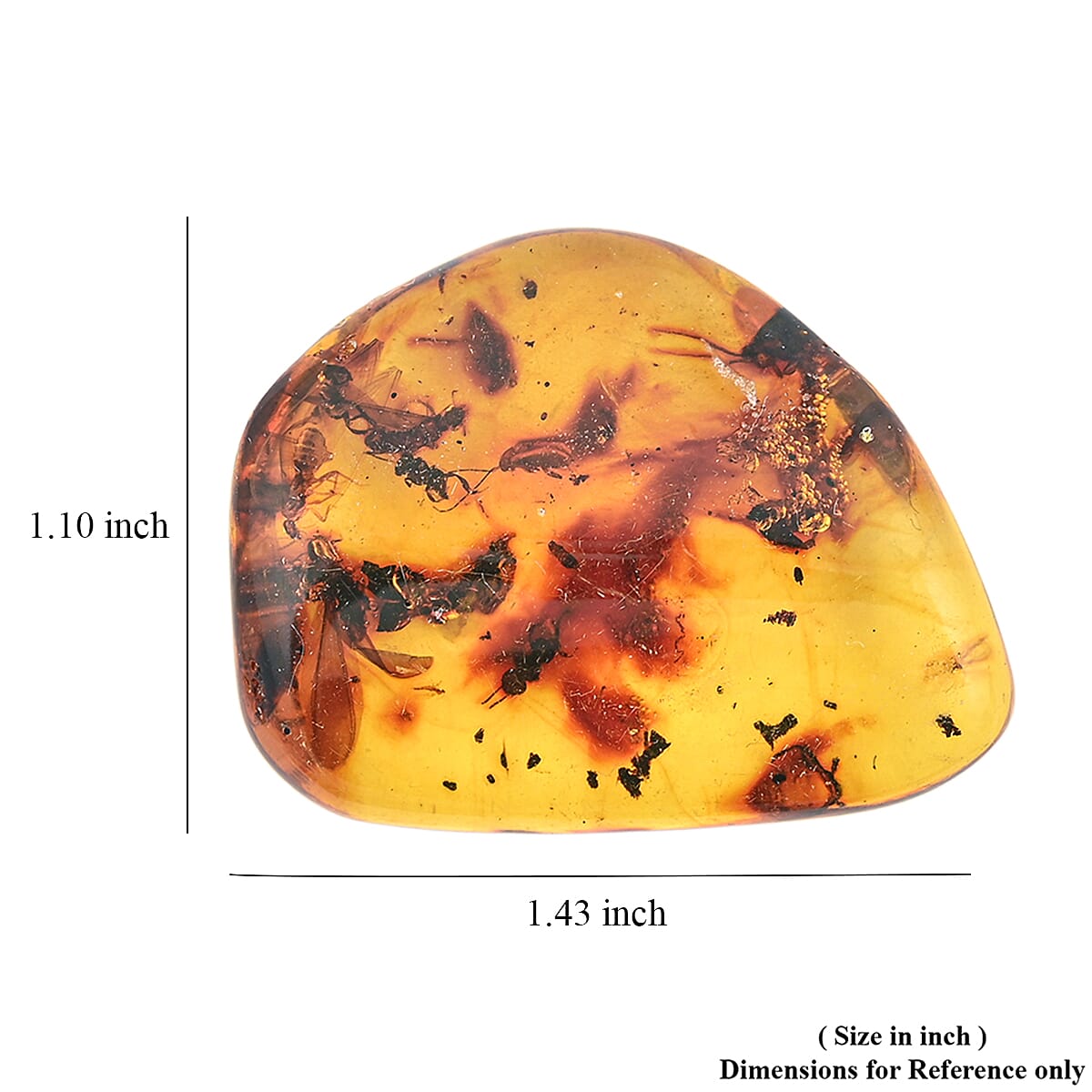 Amber Insect M 60 ctw image number 4
