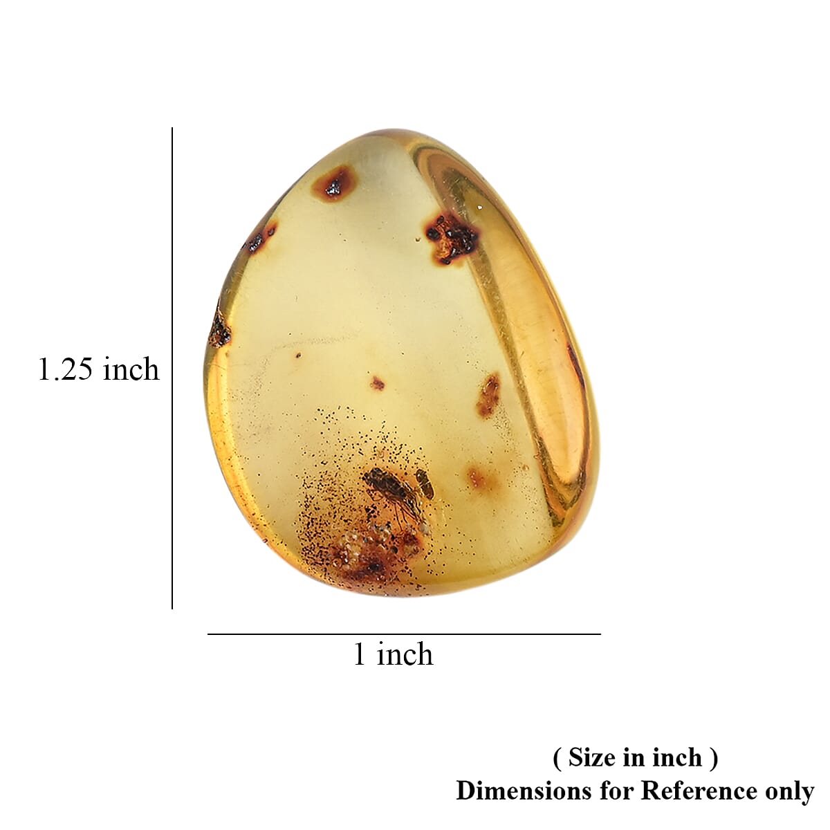 Amber Insect S 30 ctw image number 4