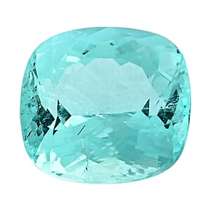 Certified & Appraised AAAA Paraiba Tourmaline (Cush Free Size) 1.20 ctw
