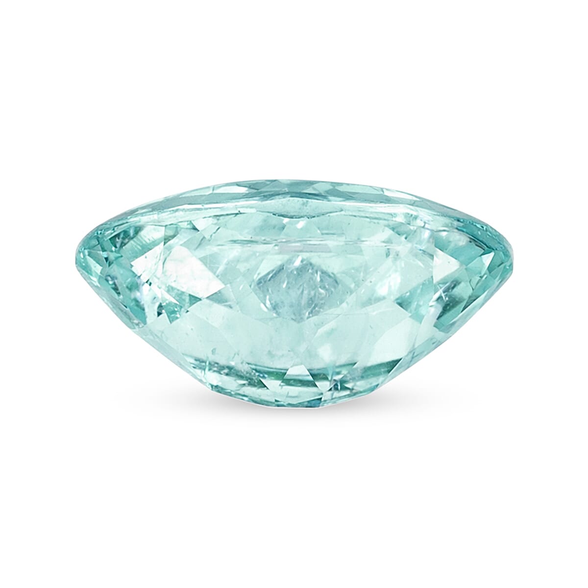 Gem Hunter Collection Certified and Appraised AAAA Paraiba Tourmaline (Ovl Free Size) 1.20 ctw