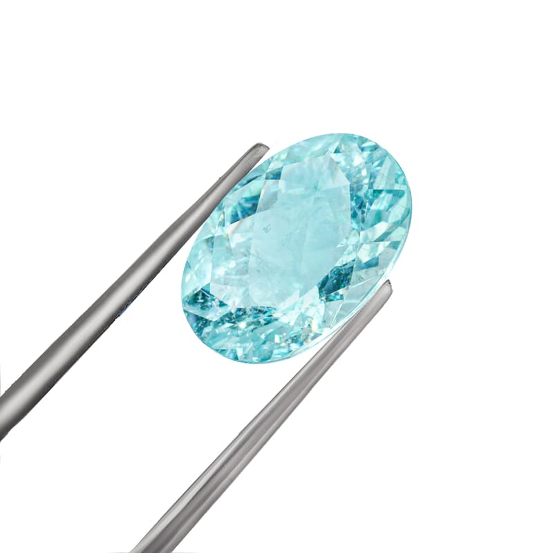 Gem Hunter Collection Certified and Appraised AAAA Paraiba Tourmaline (Ovl Free Size) 1.20 ctw