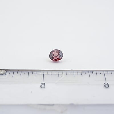 Default Title - Product card gallery slide 4 (10178479391033)