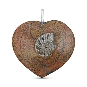 Ammonite 17.00 ctw Necklace (18 Inches) in Silvertone