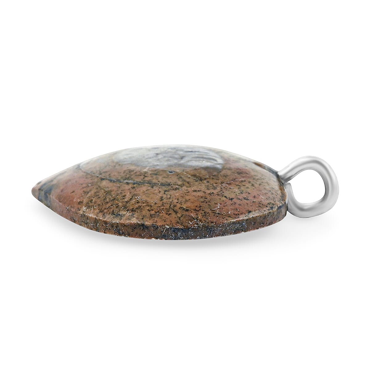 Ammonite 17.00 ctw Necklace (18 Inches) in Silvertone image number 3