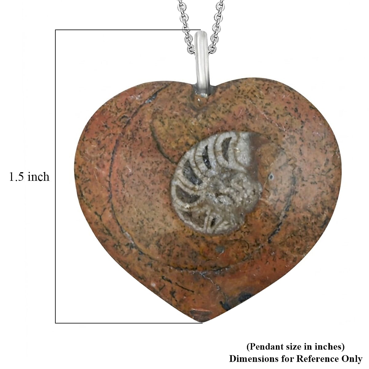 Ammonite 17.00 ctw Necklace (18 Inches) in Silvertone