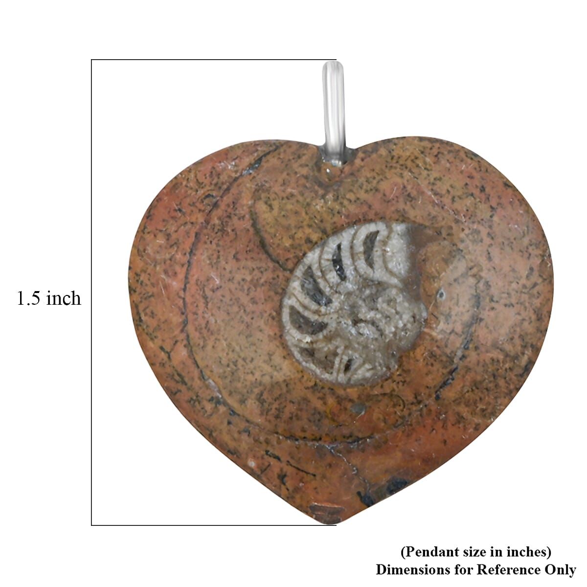 Ammonite 17.00 ctw Necklace (18 Inches) in Silvertone image number 4