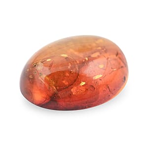 Baltic Amber with Insect (Free Size) 4.25 ctw