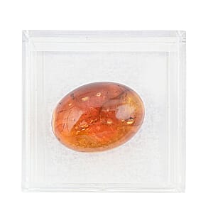 Baltic Amber with Insect (Free Size) 4.25 ctw