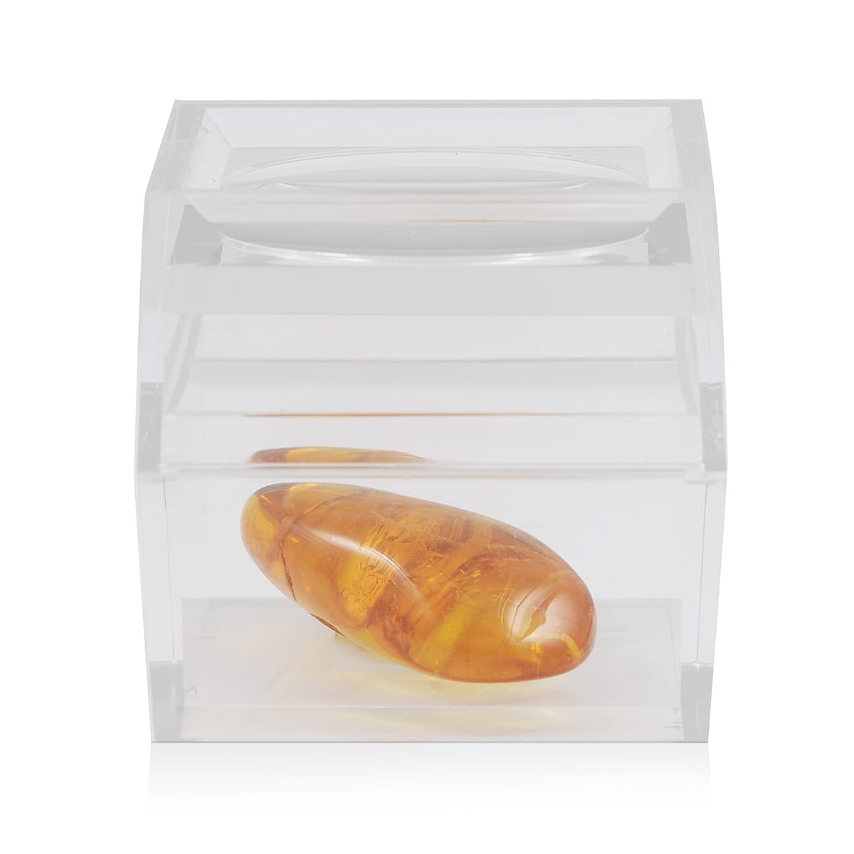 Baltic Amber with Insect (Free Size) 21.25 ctw image number 1