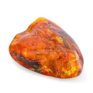 Baltic Amber with Insect (Free Size) 40.35 ctw
