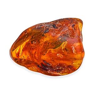 Baltic Amber with Insect (Free Size) 40.35 ctw