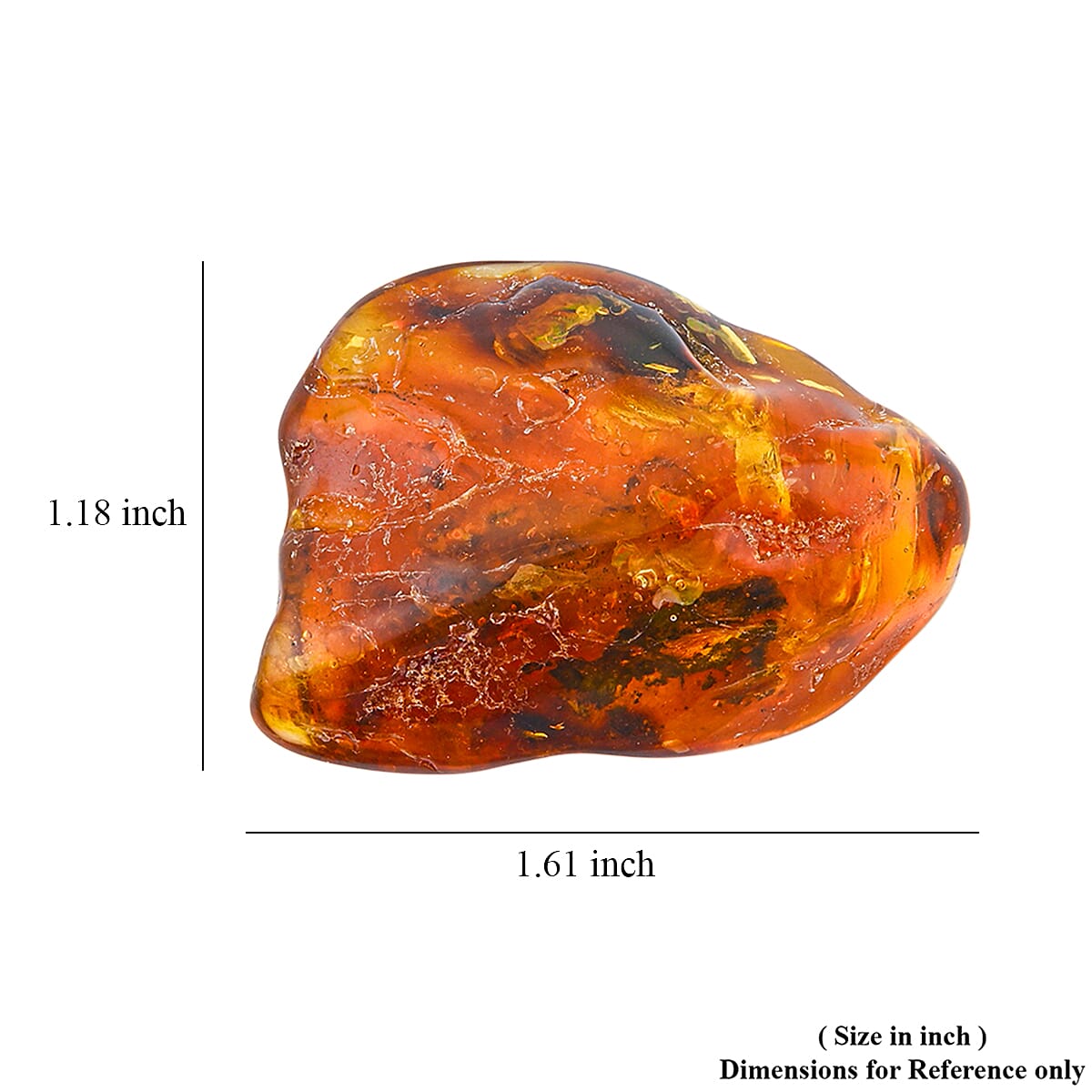 Baltic Amber with Insect (Free Size) 40.35 ctw image number 4