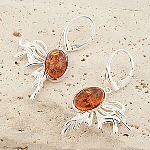 Baltic Amber Earrings in Sterling Silver