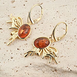 Baltic Amber Earrings in 14K YG Over Sterling Silver