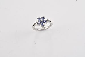 D'Joy Tanzanite and Moissanite 0.70 ctw Floral Bloom Ring in Rhodium Over Sterling Silver (Size 10.0)
