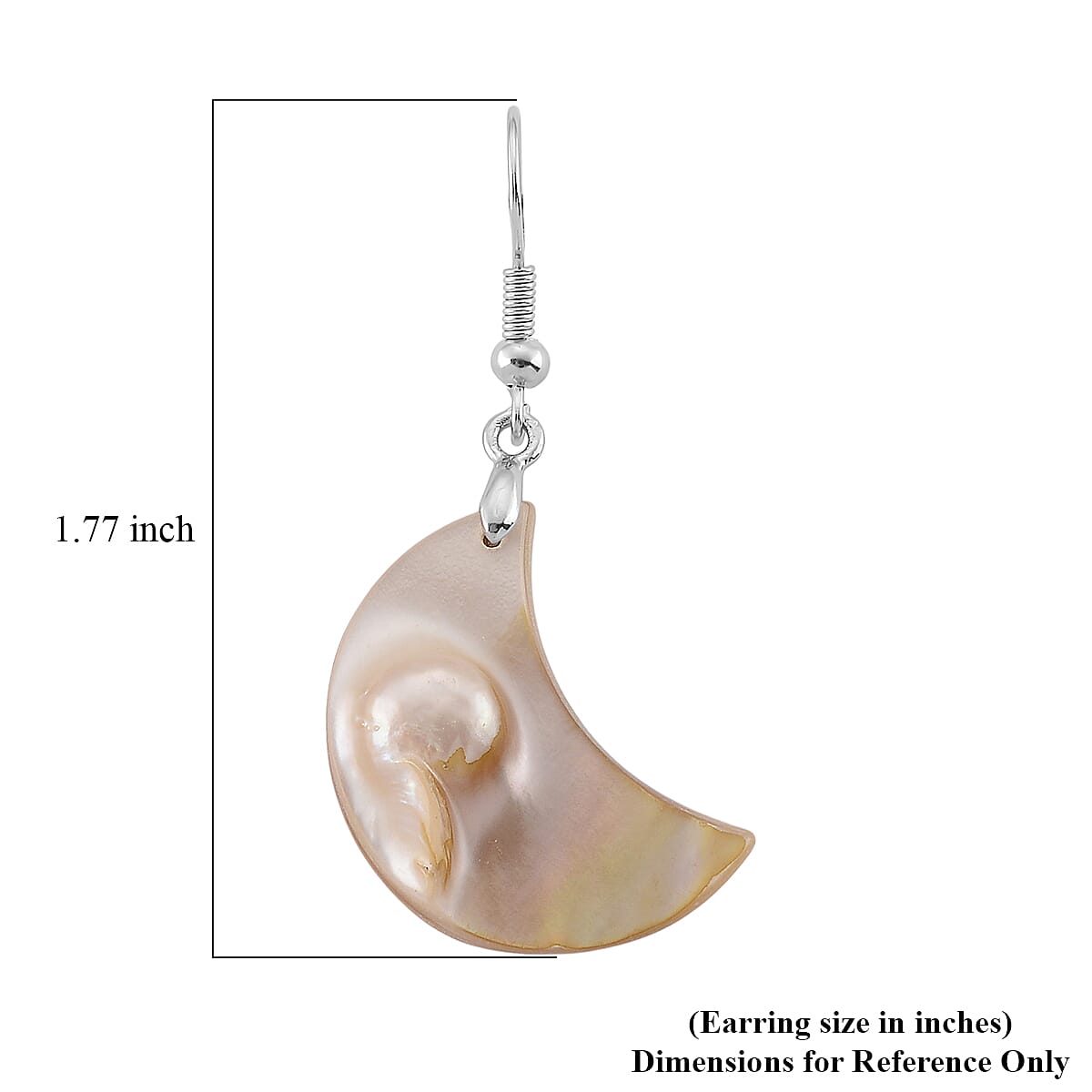 Black Mother of Pearl Earrings in Silvertone
