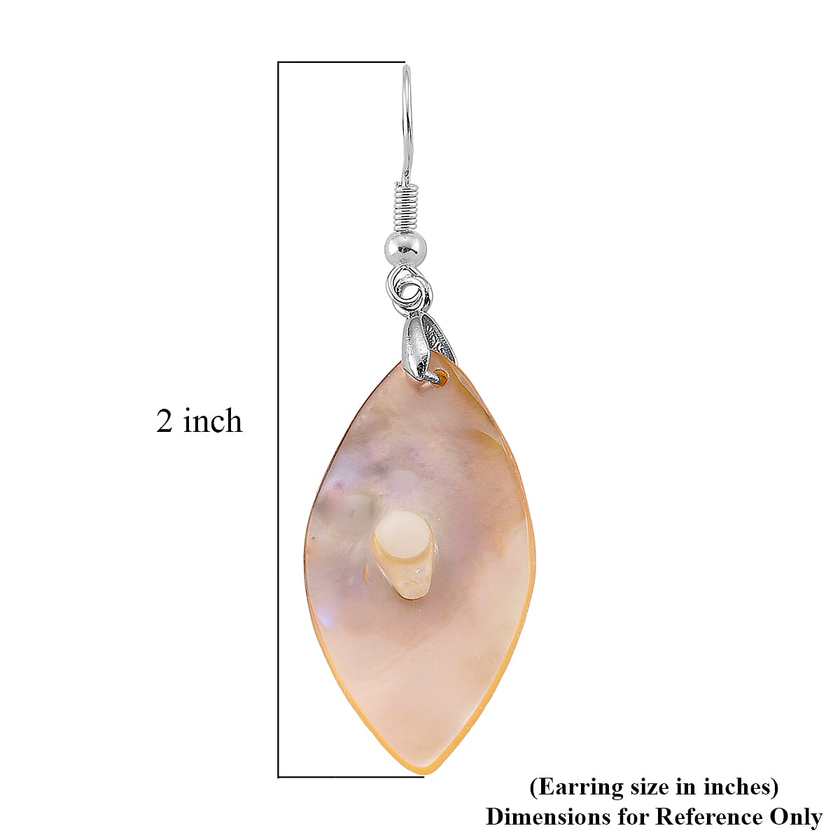Black Mother of Pearl Petal Earrings in Silvertone