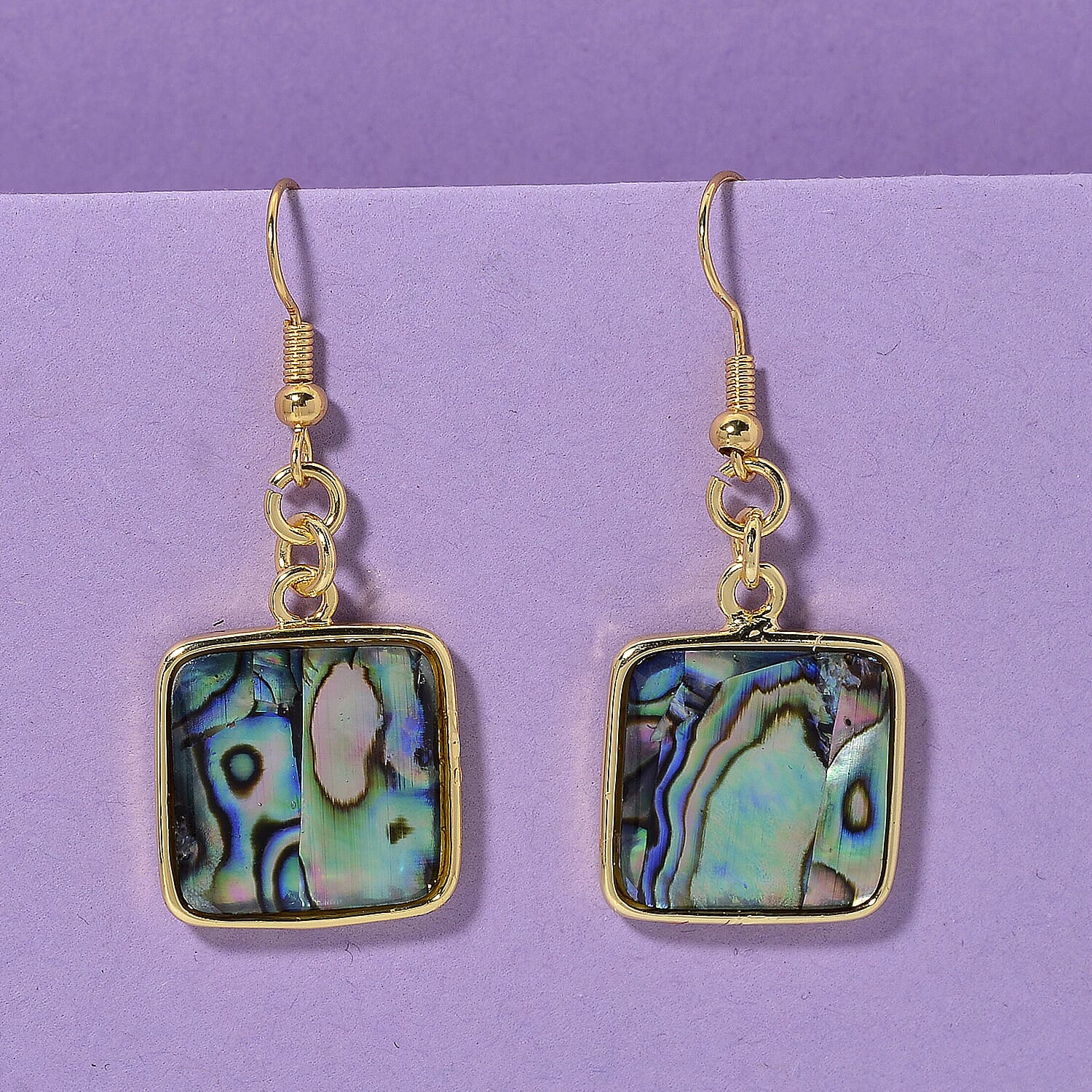 Abalone Shell Earrings in Goldtone