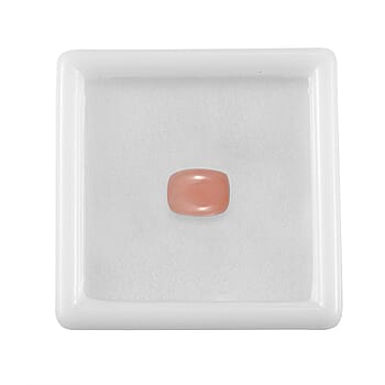 Default Title - Product card gallery slide 4 (10178503737657)