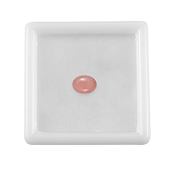 Default Title - Product card gallery slide 4 (10178502689081)