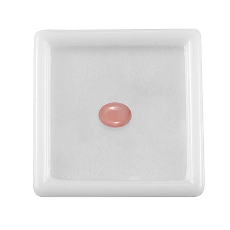 Default Title - Product card gallery slide 4 (10178502689081)