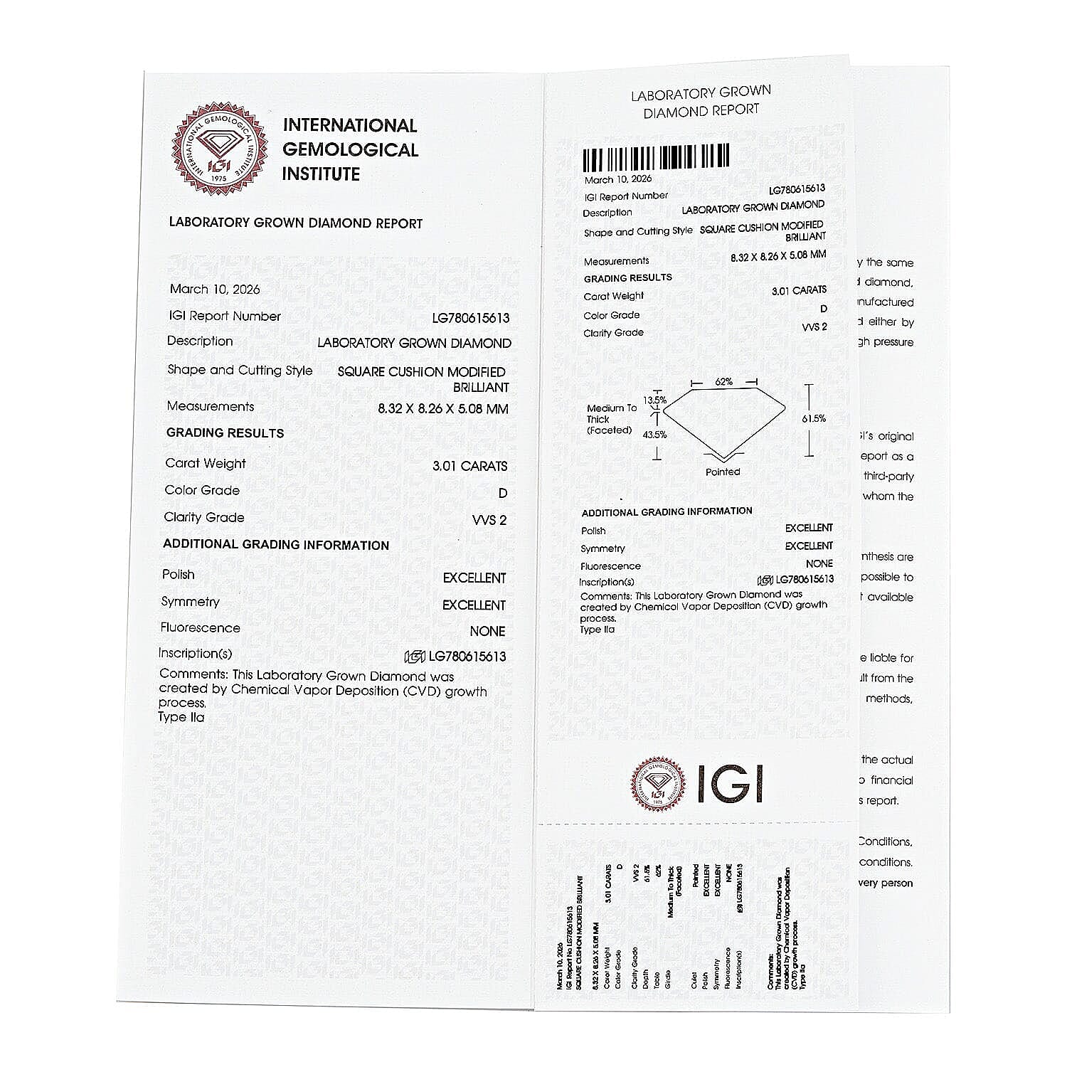 Luxuriant Lab Grown Diamond (Cush) (D, VVS2) 3.03 ctw