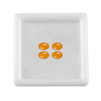 Default Title - Product card gallery slide 4 (10178506195257)