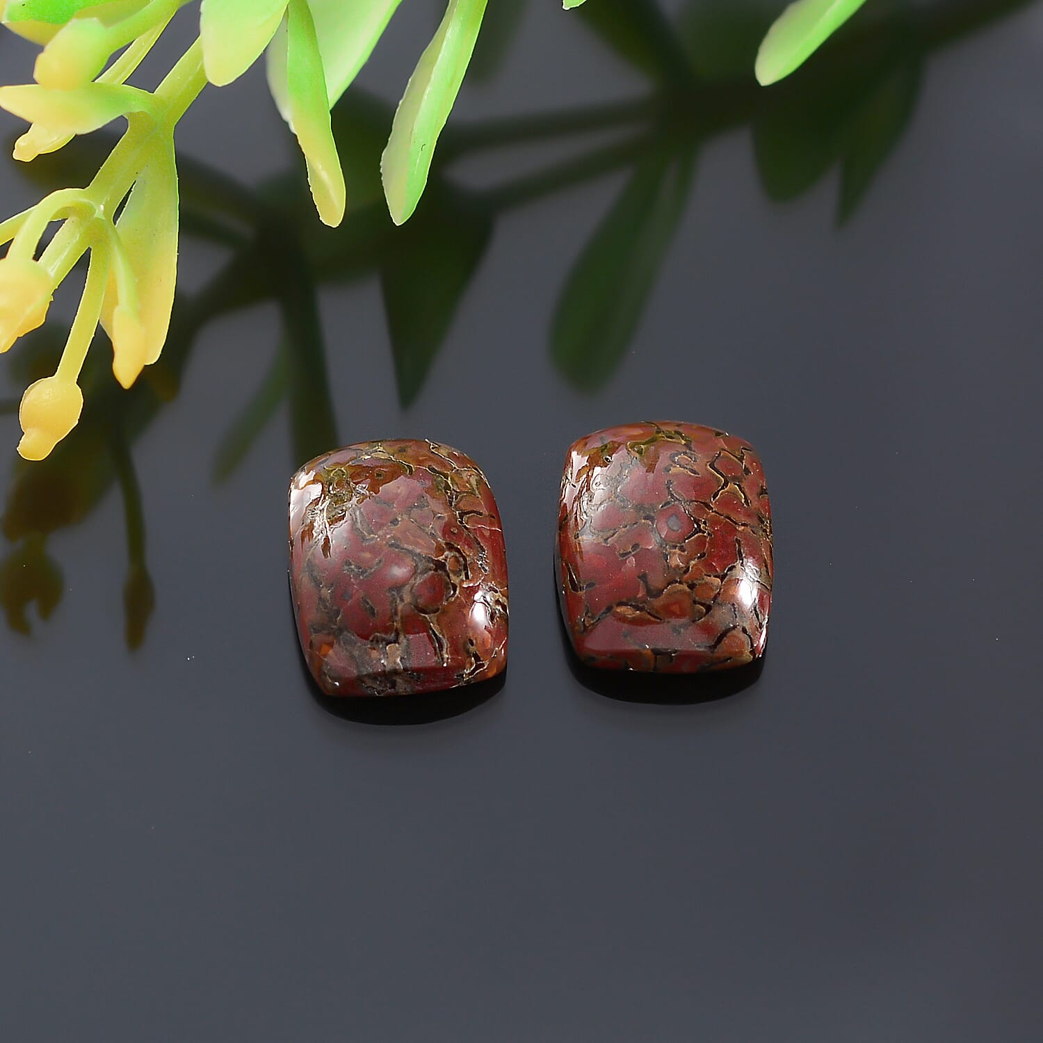 Dino Gem Bone Set of 2 (Cush 10x8 mm) 4.69 ctw