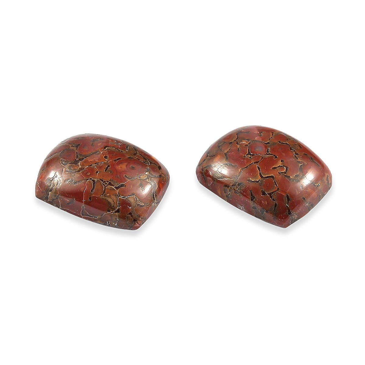 Dino Gem Bone Set of 2 (Cush 10x8 mm) 4.69 ctw