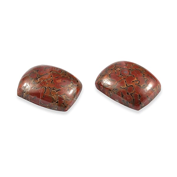 Dino Gem Bone Set of 2 (Cush 10x8 mm) 4.69 ctw