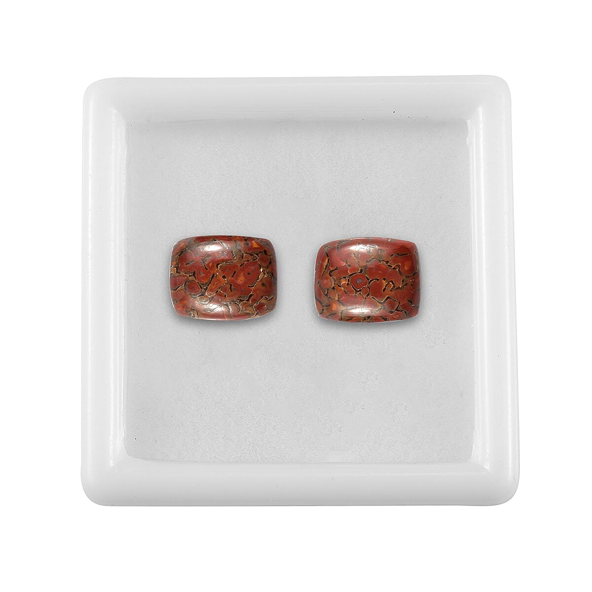 Dino Gem Bone Set of 2 (Cush 10x8 mm) 4.69 ctw