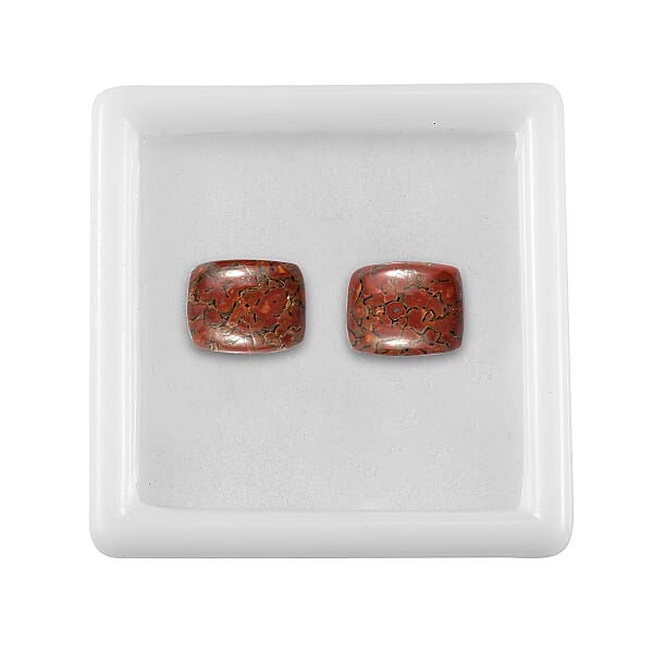 Dino Gem Bone Set of 2 (Cush 10x8 mm) 4.69 ctw