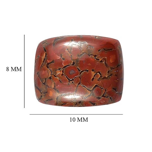 Dino Gem Bone Set of 2 (Cush 10x8 mm) 4.69 ctw