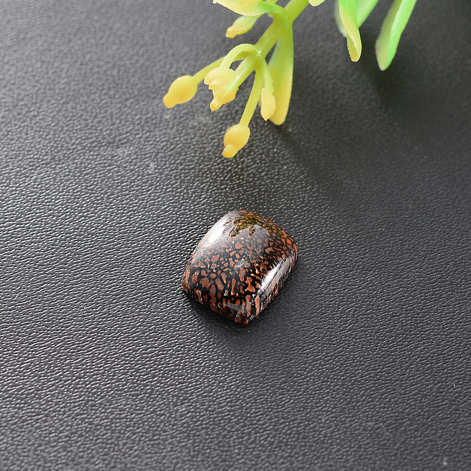 Premium Dino Gem Bone (Cush 10x8 mm) 2.28 ctw