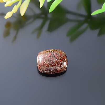 Corprolite (Cush 11x9 mm) 3.50 ctw