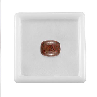 Corprolite (Cush 11x9 mm) 3.50 ctw