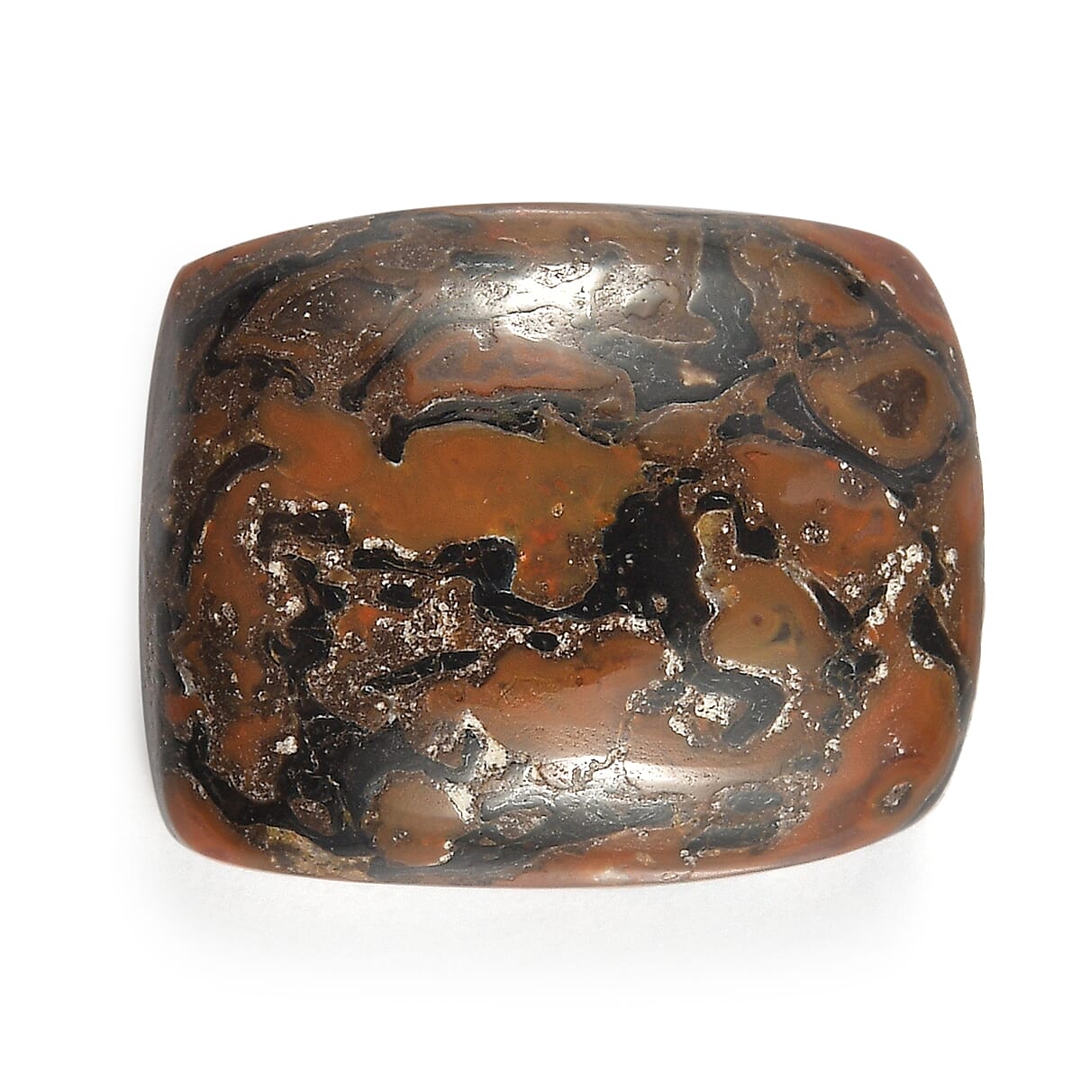 Premium Dino Gem Bone (Cush 11x9 mm) 3.17 ctw