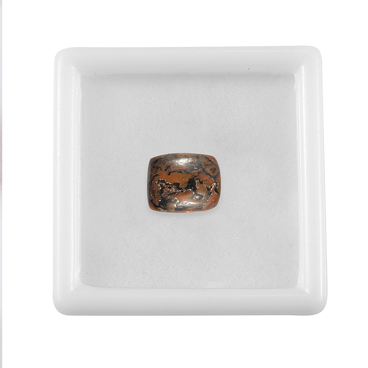 Premium Dino Gem Bone (Cush 11x9 mm) 3.17 ctw