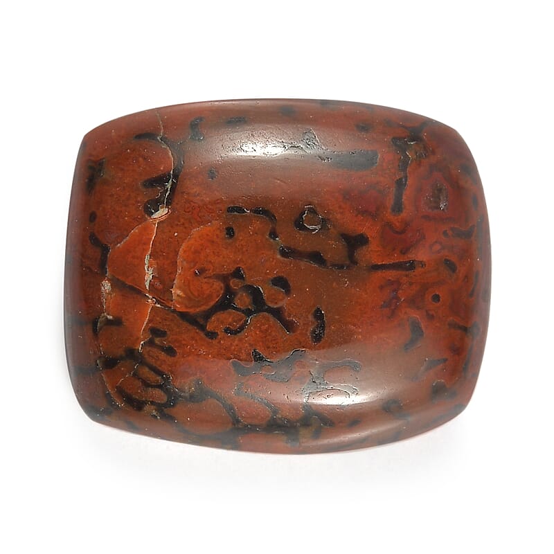 Dino Gem Bone (Cush 12x10 mm) 4.90 ctw